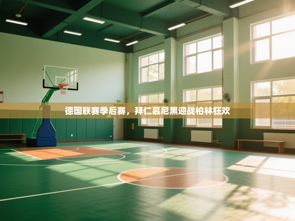 德国联赛季后赛，拜仁慕尼黑迎战柏林狂欢  第2张