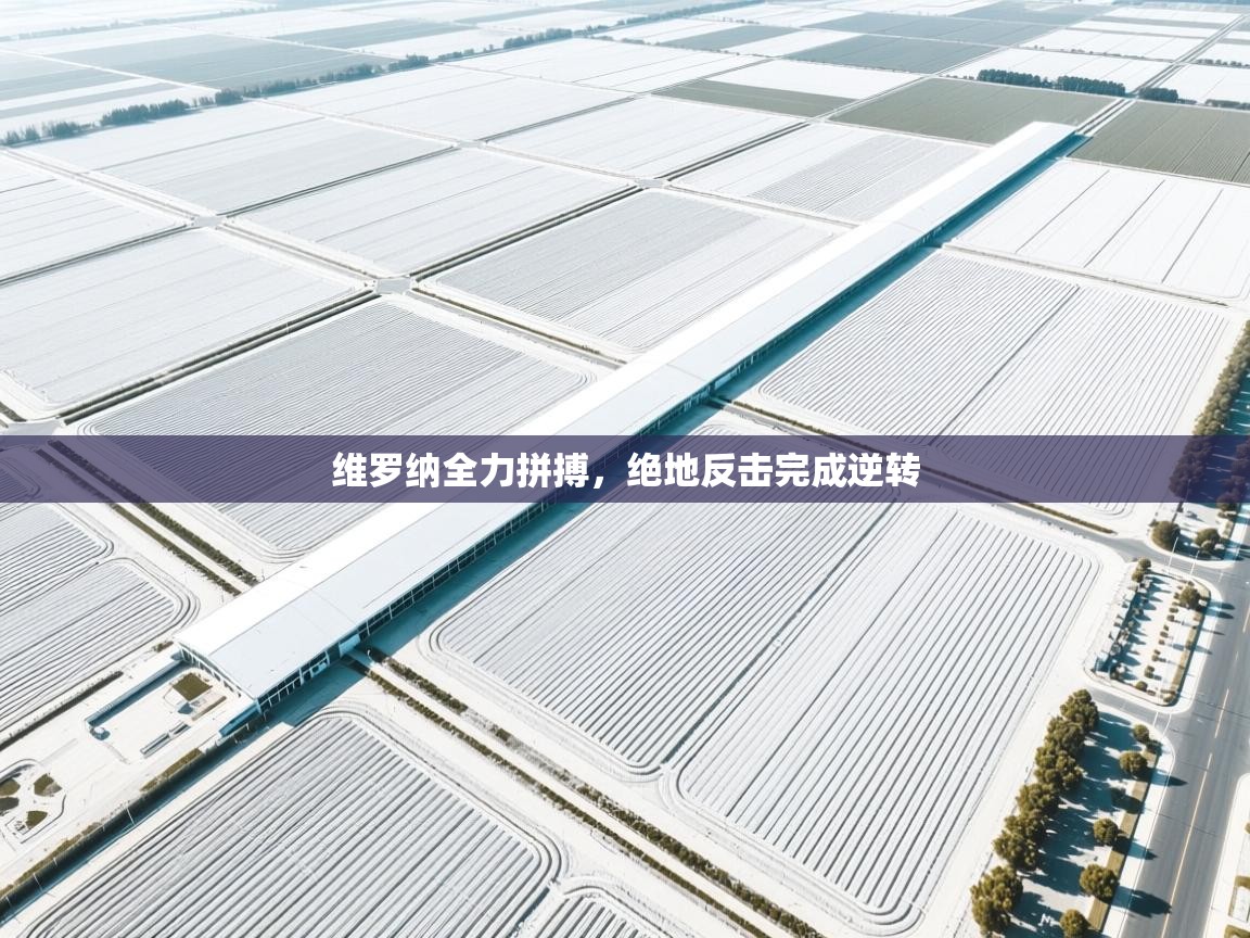 维罗纳全力拼搏，绝地反击完成逆转  第2张