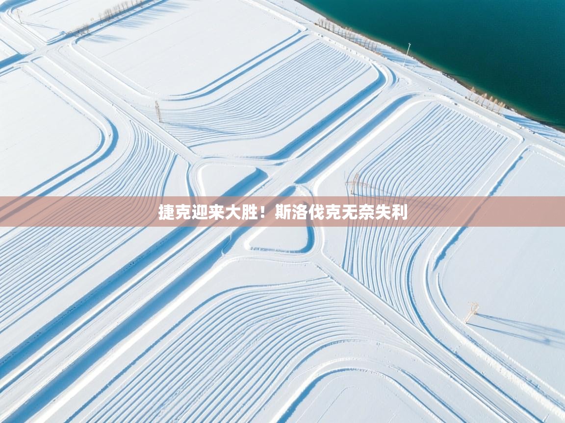 捷克迎来大胜！斯洛伐克无奈失利  第1张