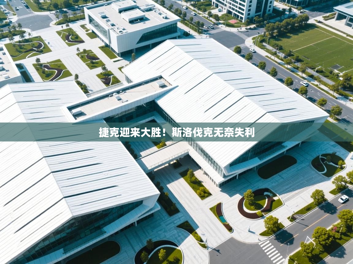 捷克迎来大胜！斯洛伐克无奈失利  第2张