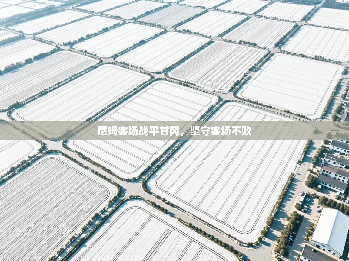 尼姆客场战平甘冈，坚守客场不败  第1张