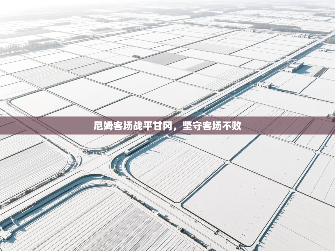 尼姆客场战平甘冈，坚守客场不败  第2张