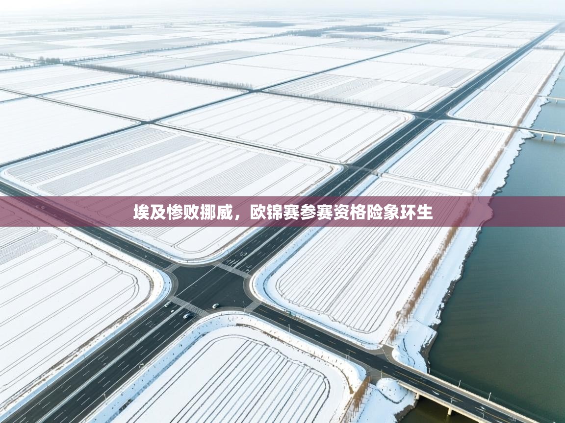 埃及惨败挪威，欧锦赛参赛资格险象环生  第2张